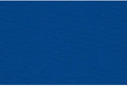 Toile extérieure avec œillets - Dickson Orchestra Bleu 0017