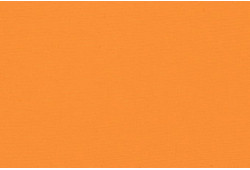 Toile extérieure avec œillets - Dickson Orchestra Mandarine 0867