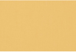 Toile extérieure avec œillets - Orchestra Paille 7560