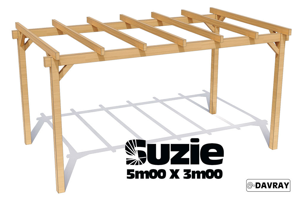 Pergola bois SUZIE 5m00 X 3m00