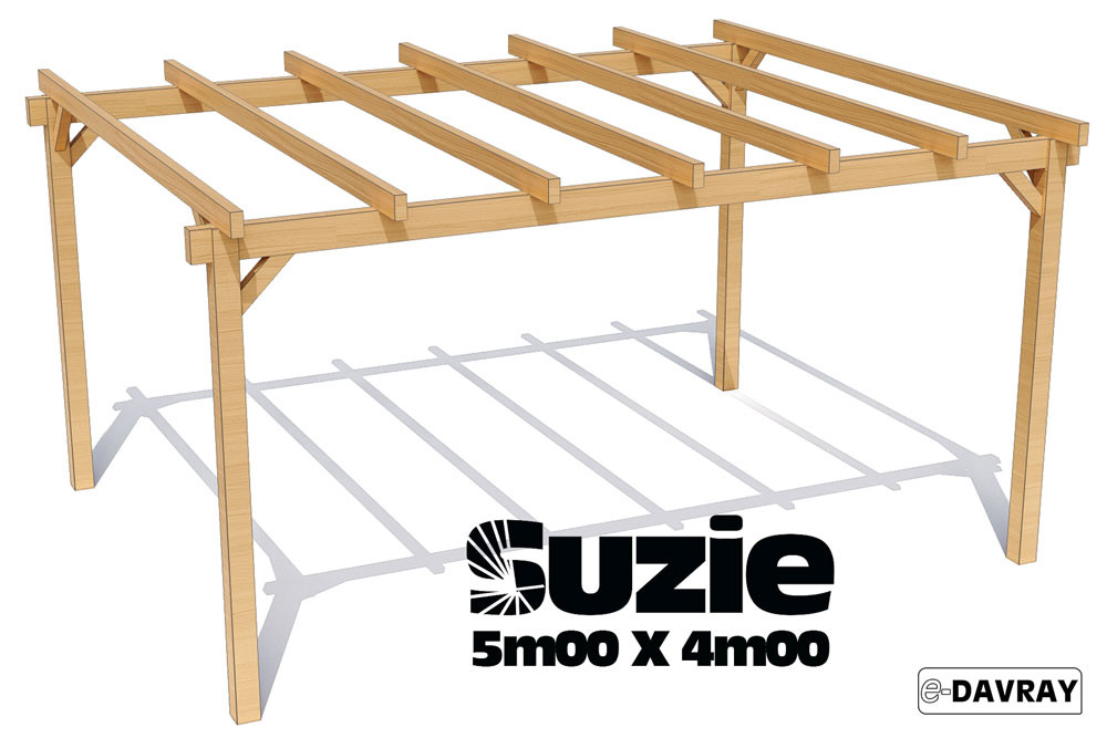 Pergola bois SUZIE 5m00 X 4m00