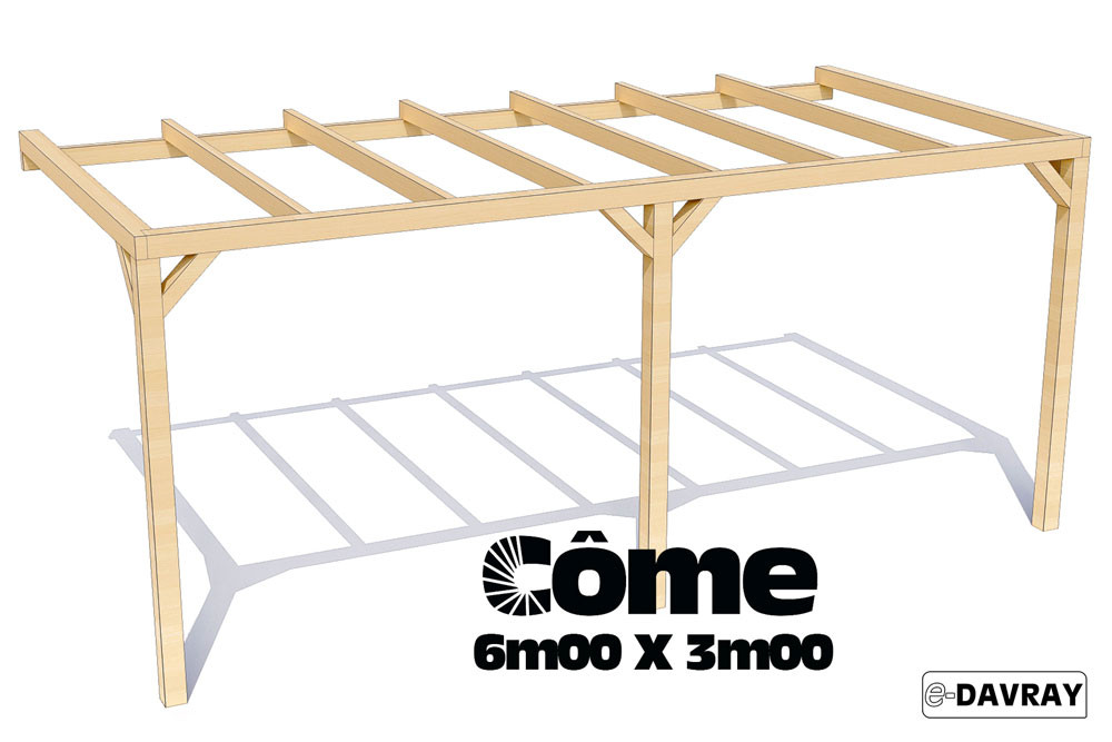 Pergola bois CÔME 6m00 X 3m00