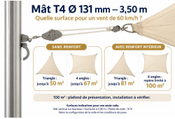 Surfaces indicatives à 60 km/h pour le mât T4 de 3,50 m, avec ou sans renfort, selon la forme de la voile.