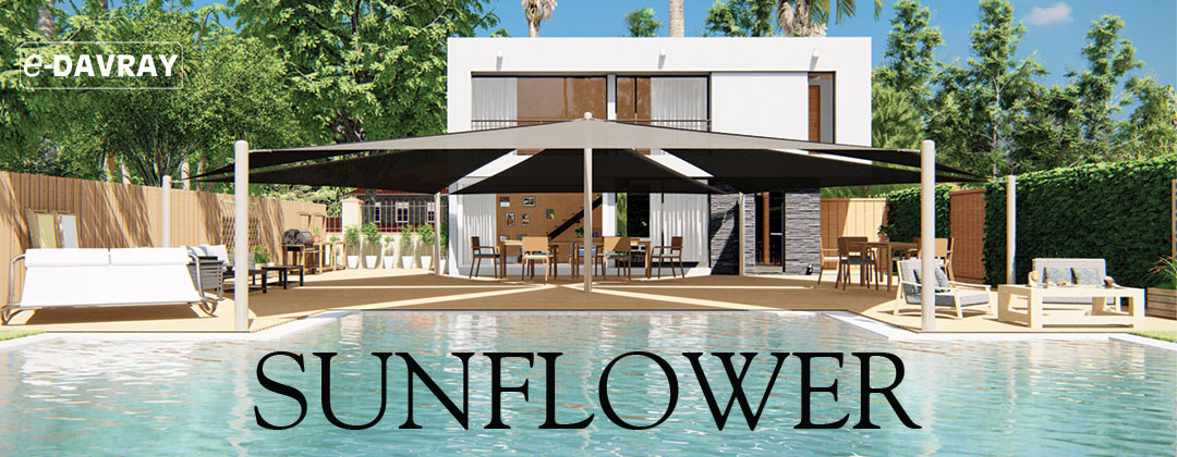 sunflower concept