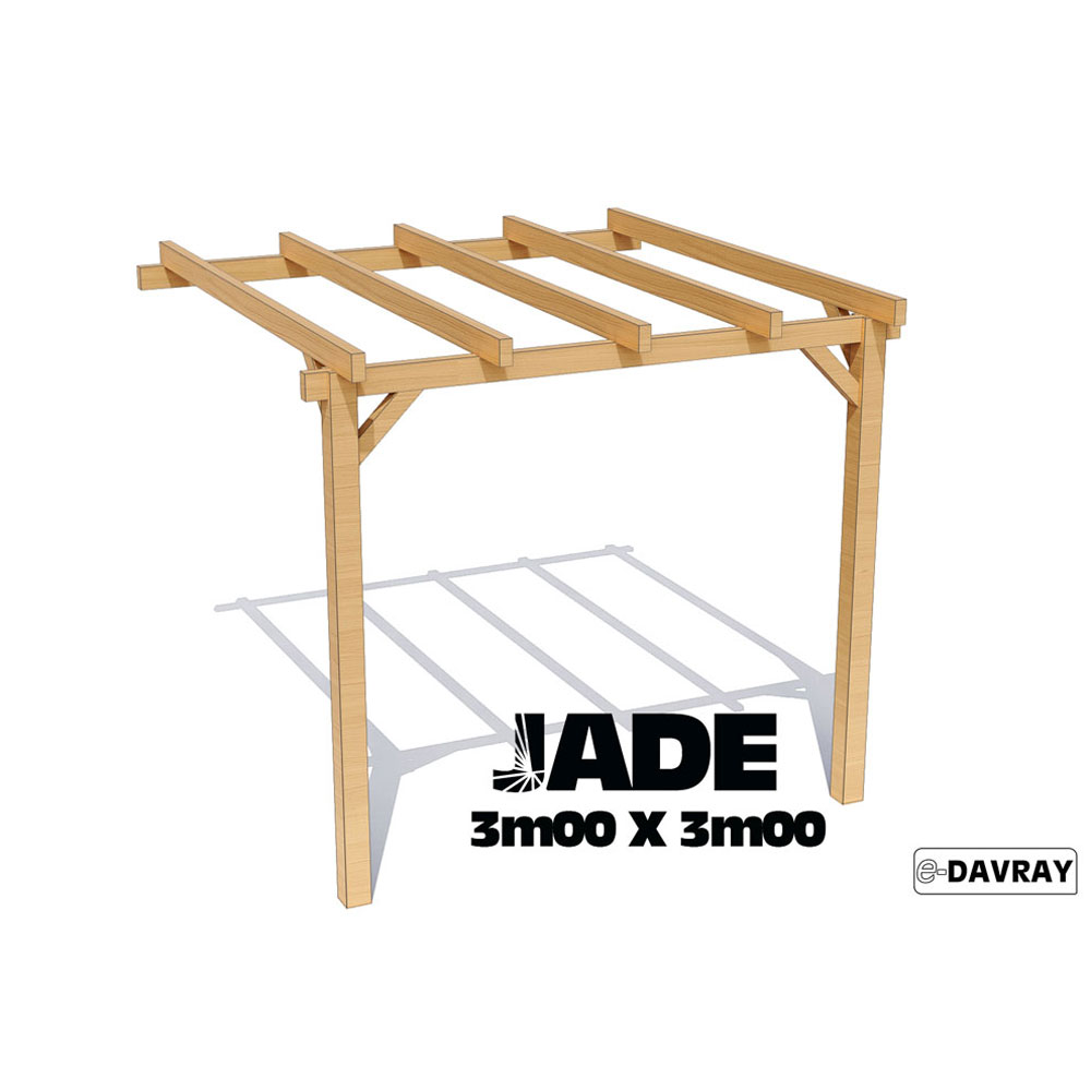 pergola en bois adossée 3x3m Jade