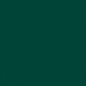 502v2-2156c Spruce