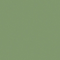 502v2-2158c Vert mousse