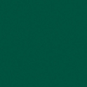 502v2-8056c Vert Tennis