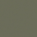 502v2-50668c Olive
