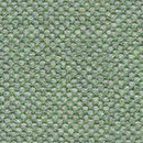 NAT XL 10243 Senecio