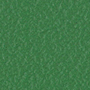 F4340 20296 Cactus